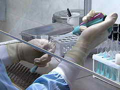 25% россиян считают свиной грипп очередным способом для медиков заработать на человеческих страхах
