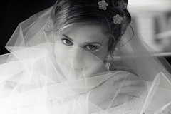 Около 600 браков зарегистрируют в Кузбассе 12.12.12