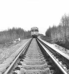 Двое жителей Киселевска воровали железнодорожные шпалы