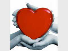 К 2012 году вся Россия будет участвовать в донорской программе "Служба крови"