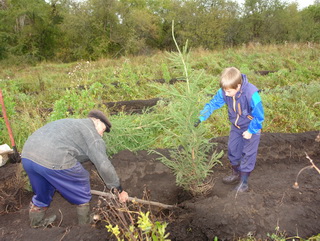1100 деревьев украсили территорию села Горскино Гурьевского района в рамках областной акции «Миллион деревьев - Кузбассу»