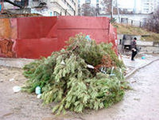 Специальные бригады созданы в Кузбассе для утилизации использованных новогодних елок 