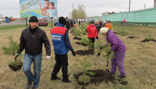 Областная акция по озеленению территории Кузбасса набирает обороты