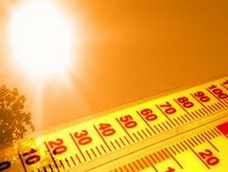 В Кузбассе 30-градусная жара задержится еще на неделю