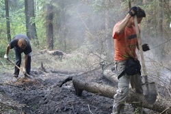 В Промышленновском районе прошли тактико-специальные учения по тушению лесного пожара