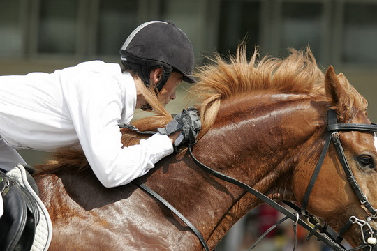 В Кузбассе завершились областные соревнования по конному спорту 