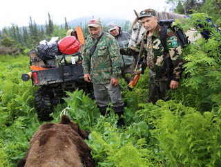 В кузбасском заповеднике застрелили медведя