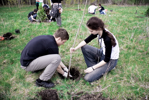 В рамках очередной «тулеевской пятницы» кузбассовцы посадили более 2,1 тыс. деревьев и кустарников