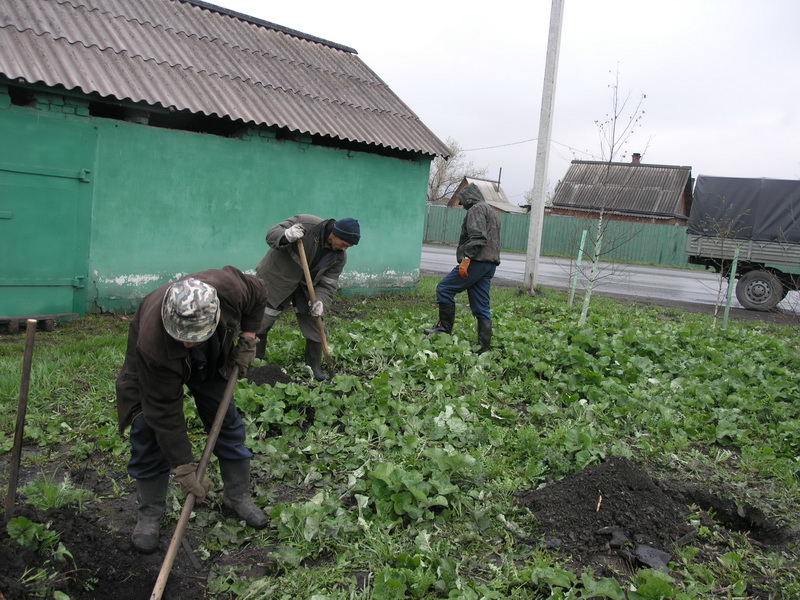 Сотрудники Водоканала приняли участие в благоустройстве территории города Прокопьевска
