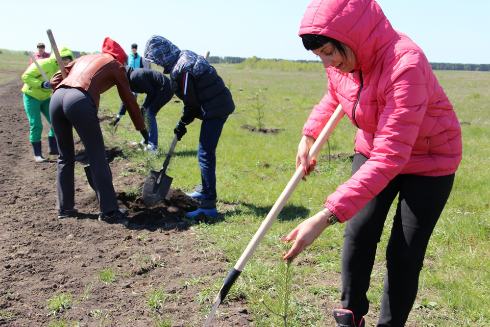 Более 400 тыс. деревьев и кустарников посажено кузбассовцами 19-20 мая