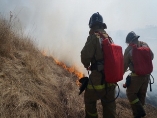 С начала лесопожарного сезона в Кузбассе оштрафовано 1 тыс. 358 нарушителей 