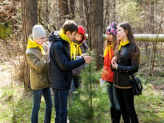 В Кемерово состоялся городской этап детской экологической акции «Посади дерево»