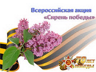 5 мая, в преддверии Дня Победы, в Кемерово состоится закладка аллеи «Сирень Победы» 