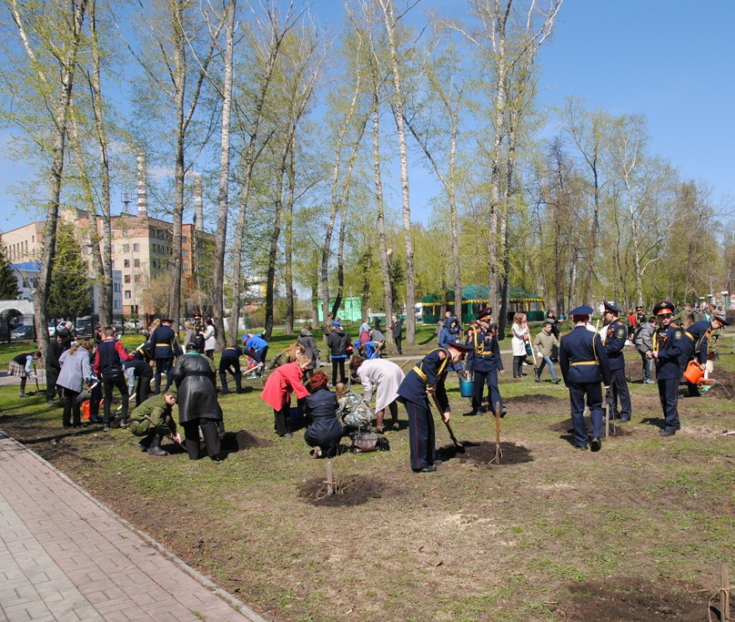 В единый день посадки деревьев кузбассовцы разбили новые аллеи и скверы в память о погибших дедах и прадедах