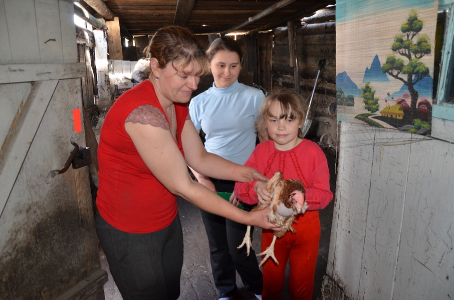 В Юрге 32 семьи получили бесплатно по 5 кур-несушек и корм для птицы