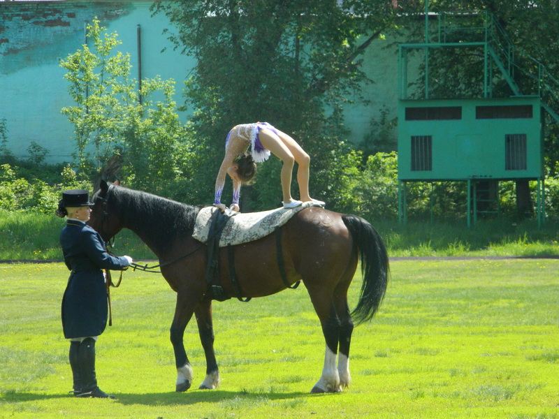 В Калтане прошло открытое первенство Кемеровской области по конному спорту среди детей