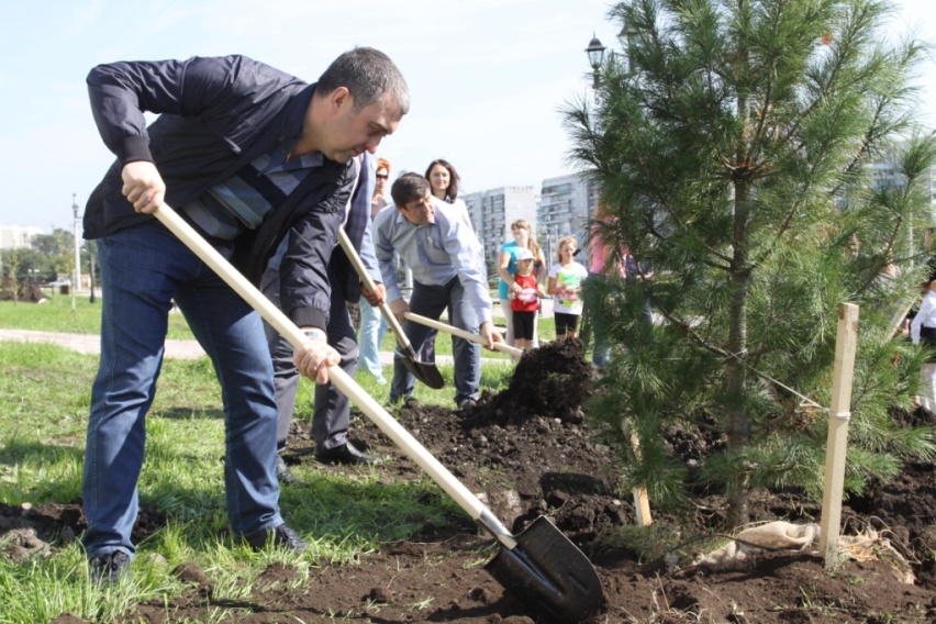 225 тыс. саженцев появилось в Кузбассе в единый день посадки деревьев 