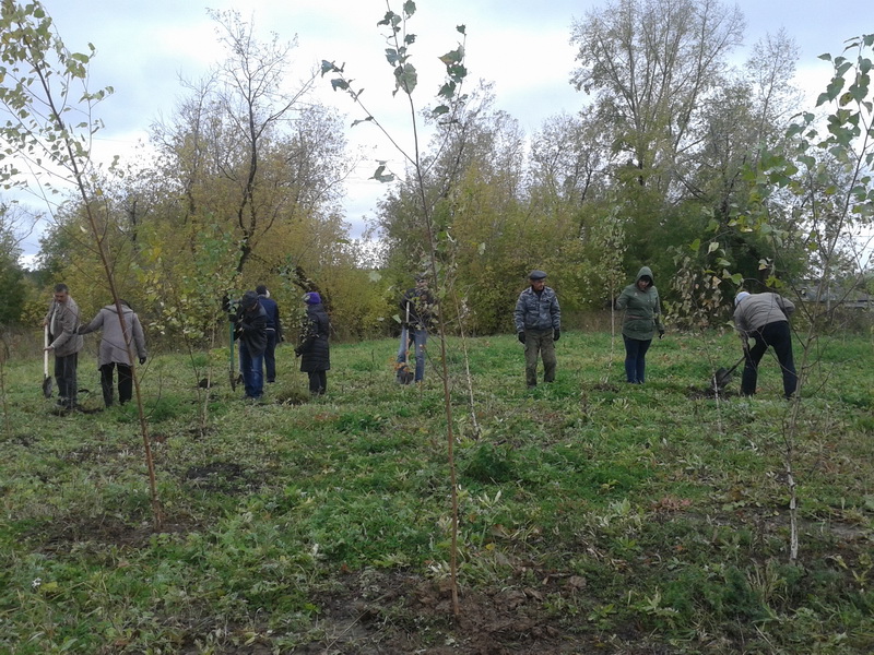 В Кузбассе продолжается всероссийская акция «Живи, лес!»