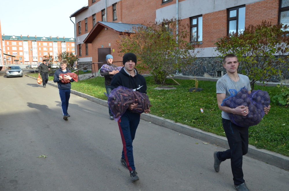 Жители Юрги получили бесплатные овощные наборы в рамках губернаторской акции