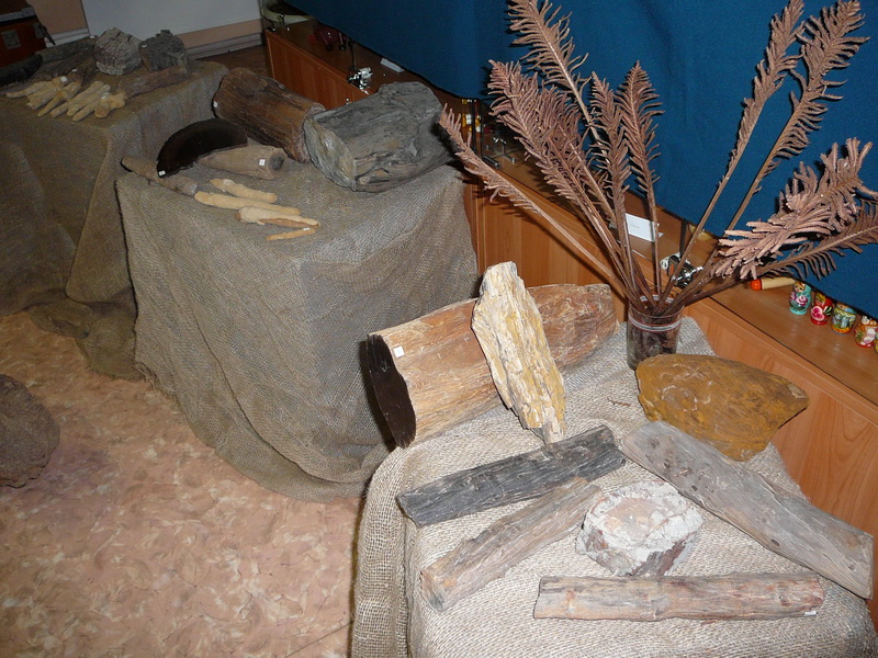 В Крапивинском районном краеведческом музее открылась палеонтологическая выставка «Каменная роща»