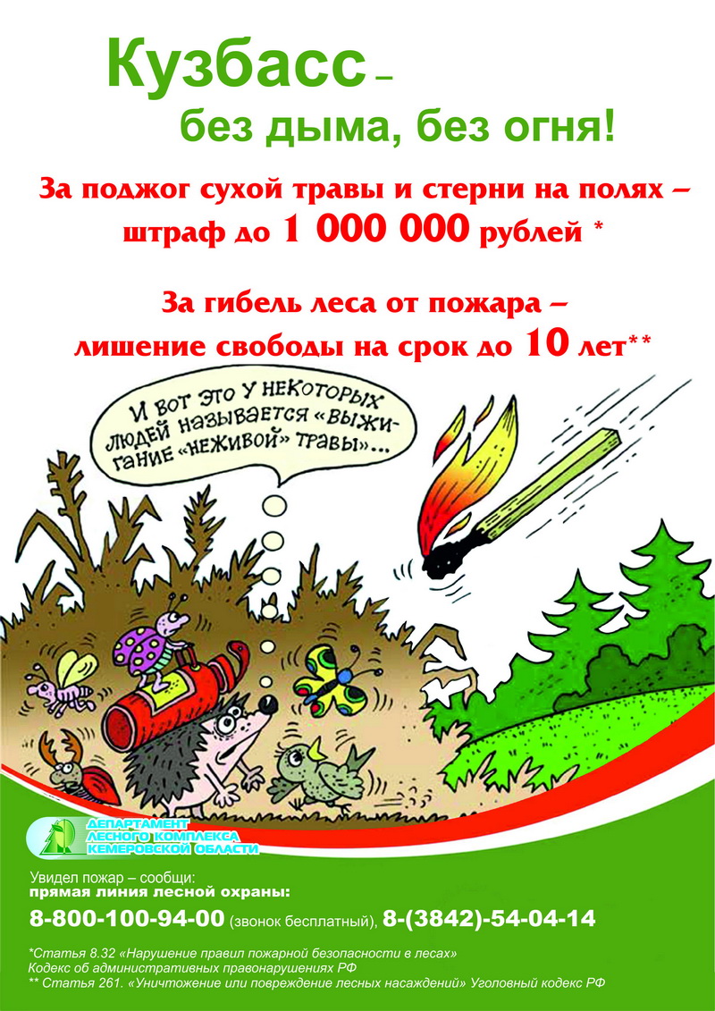 Проект «Урожай вместо дыма!» занял II место во всероссийском конкурсе