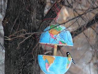 Кузбассовцы отметят Международный день птиц игрой в КВН и развесят скворечники