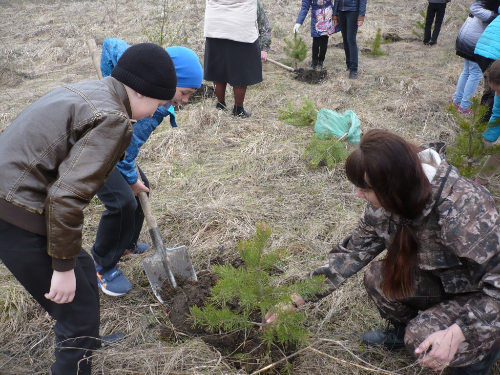 Кузбассовцы посадили 258 тыс. деревьев на площади 78 га с начала акции по озеленению