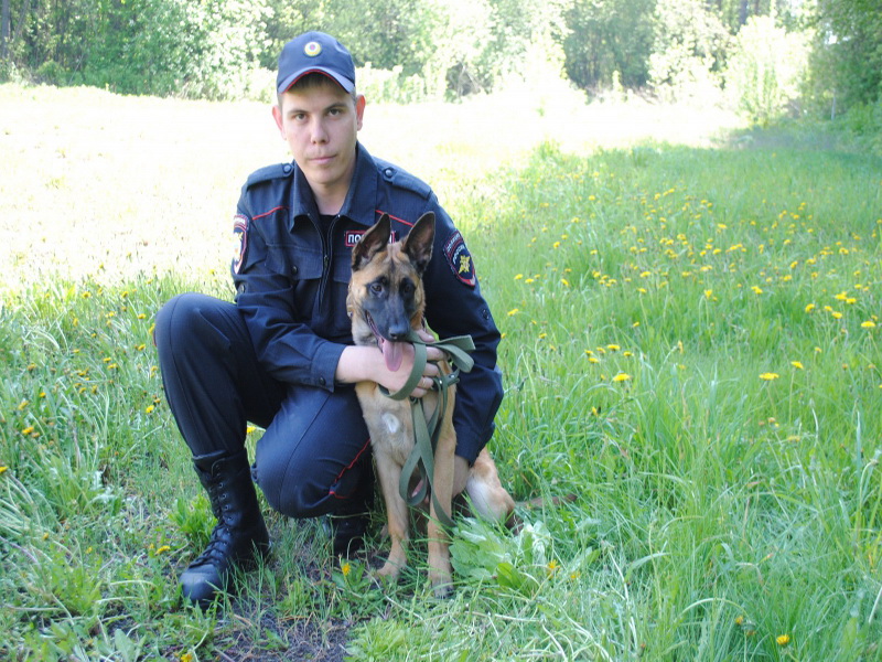 Кемеровскую область доставлены щенки из Хакасии, которым предстоит стать служебно-розыскными собаками 