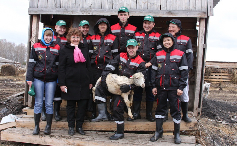 Бойцы мобильной чабанской бригады за 2 недели постригли около 2 тыс. овец в хозяйстве Чебулинского района