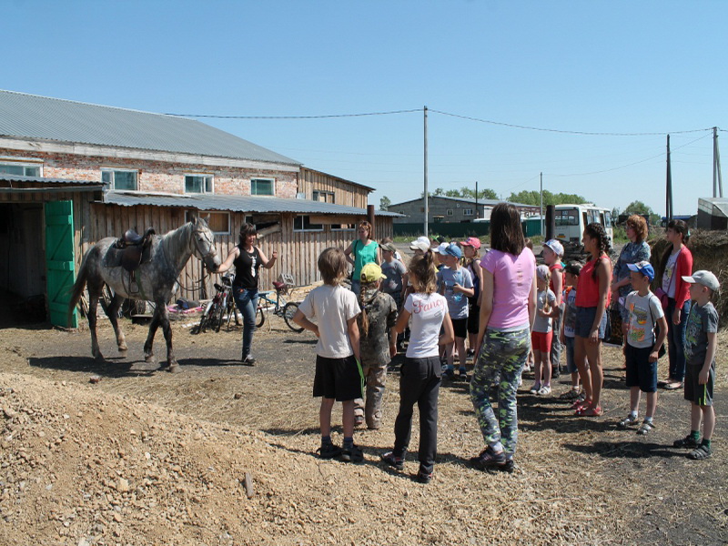 В Анжеро-Судженске организовали для детей экскурсию в конно-спортивный клуб