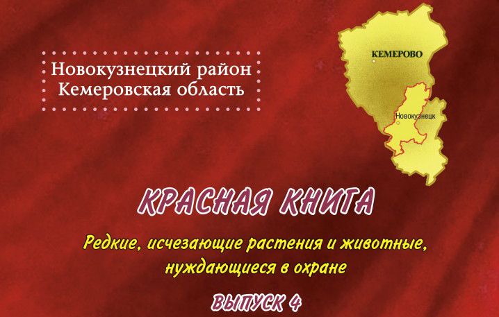 Красная книга появилась в Новокузнецком районе