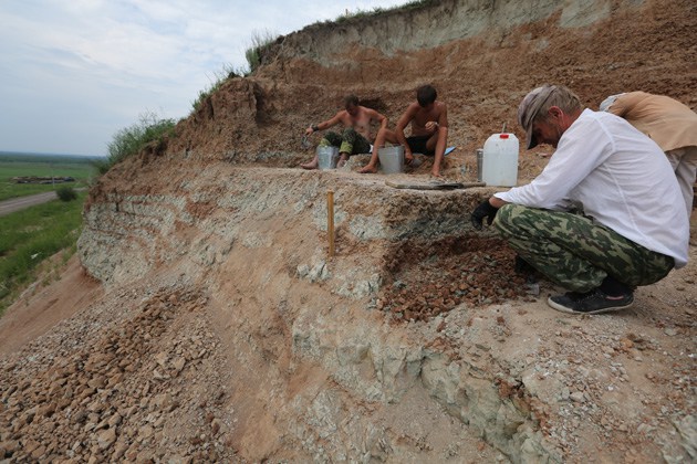 Останки древнего млекопитающего — предположительно, симметродонта обнаружены в Кузбассе