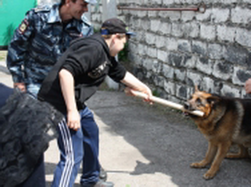 В Прокопьевске полицейские-кинологи организовали экскурсию для воспитанников подшефной школы 