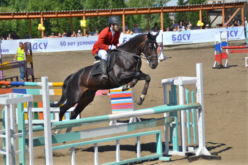 Региональные соревнования по конному спорту прошли в Кемеровском районе 