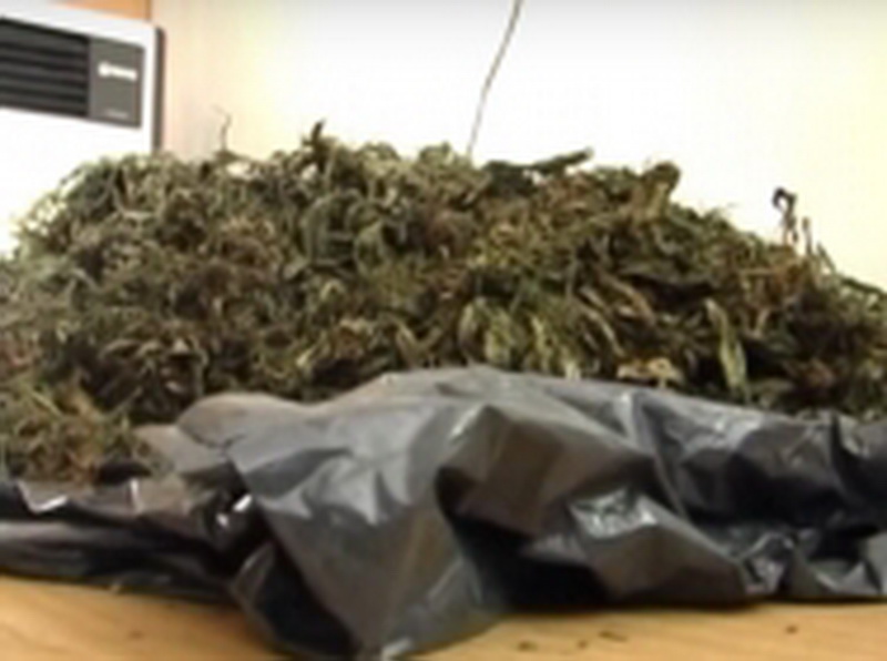 Жителя Белово будут судить по обвинению в незаконном хранении 2,5 килограммов марихуаны