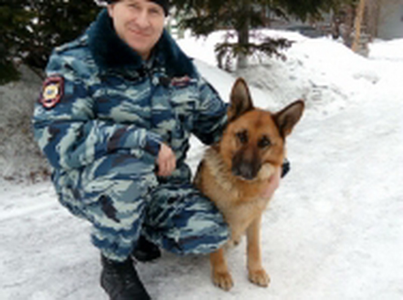 В Прокопьевске служебная овчарка привела полицейских к жилищу злоумышленника, обокравшего строящийся дом