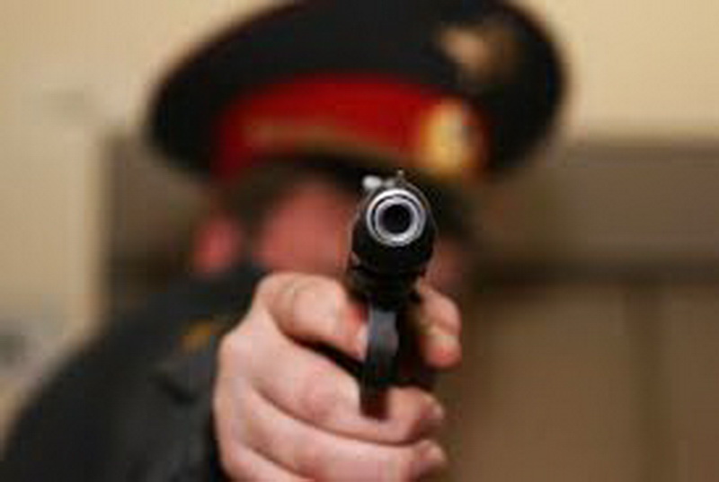 В Прокопьевске полицейский применил оружие против от напавшей на него бродячей собаки