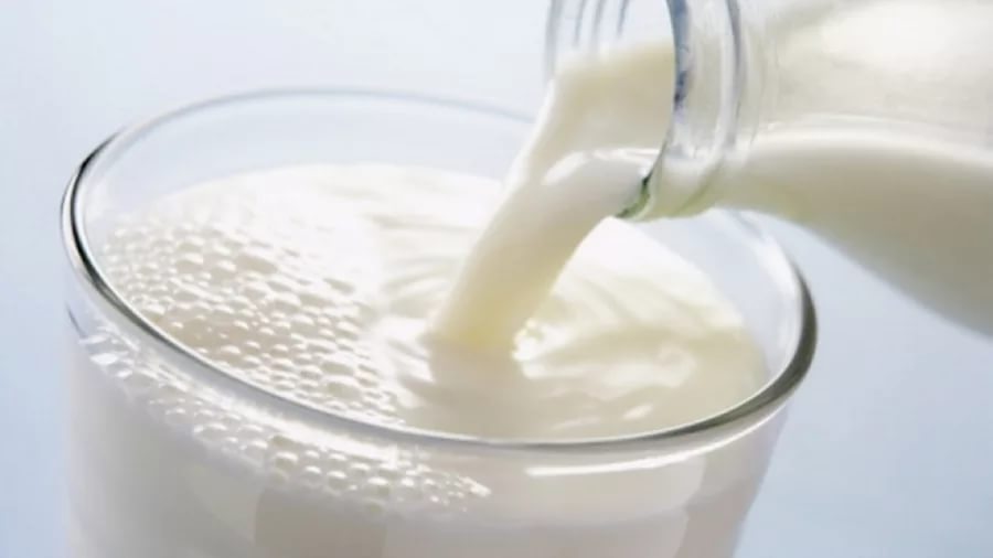 Меры по противодействию фальсификации молочных продуктов обсудят на областном совещании 15 марта