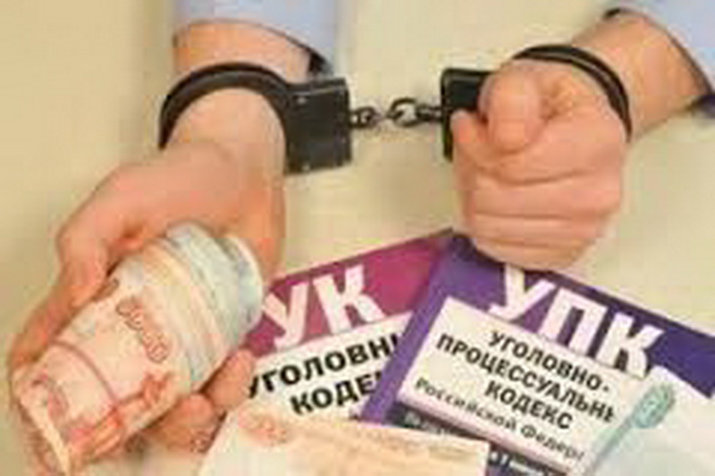 Заведующая одного из ветеринарных участков Прокопьевского района обвиняется в служебном подлоге