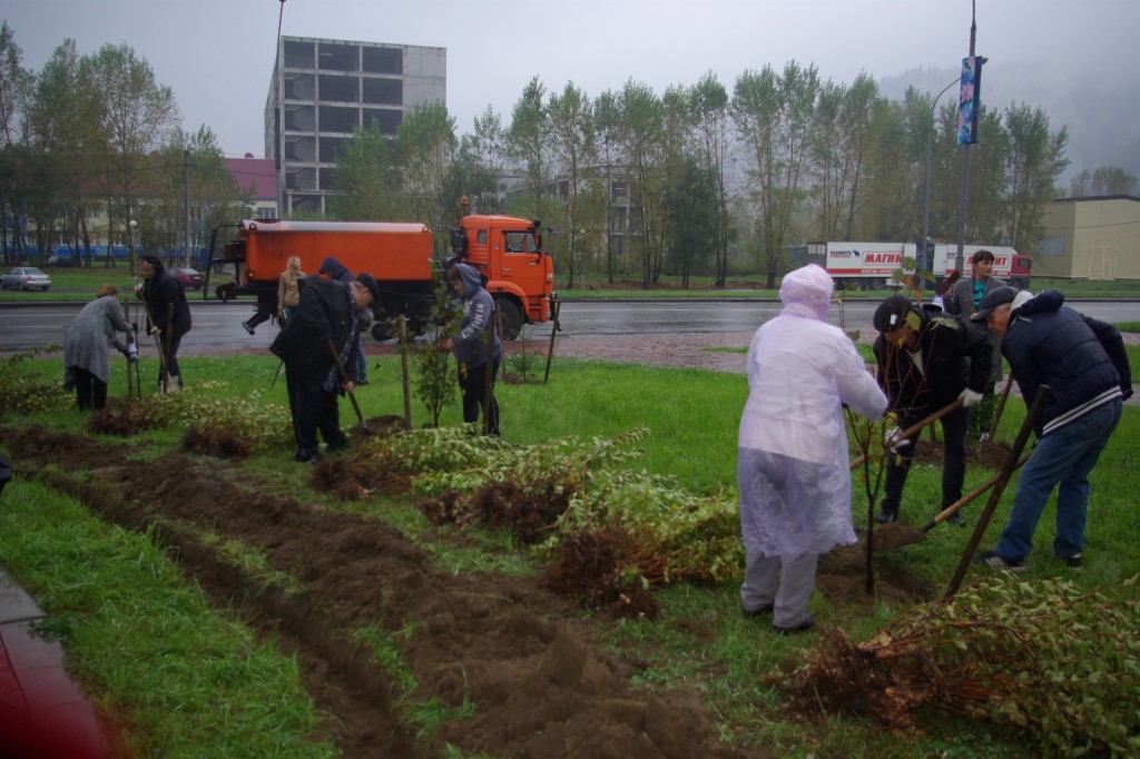 Более 12 тыс. кв. м цветников украсят столицу Дня шахтера – Междуреченск