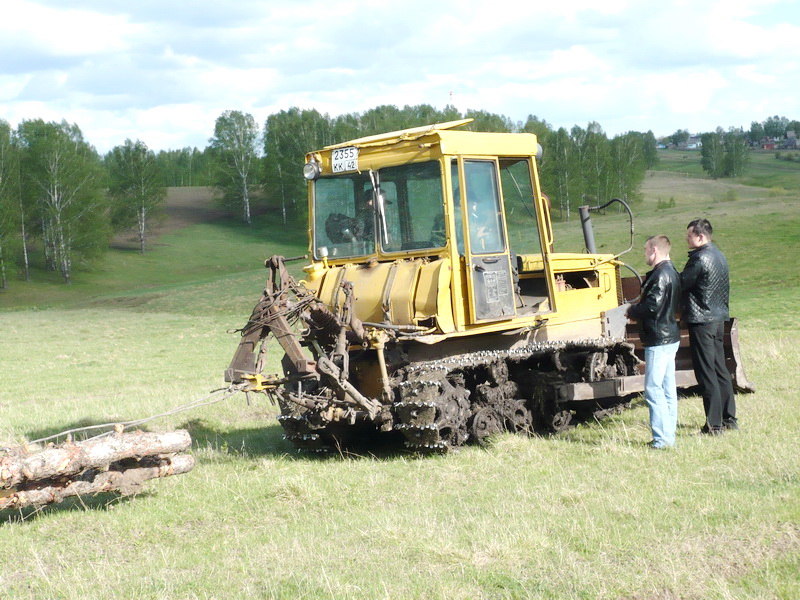 Общественные инспекторы помогают выявлять незаконные рубки деревьев в Кузбассе