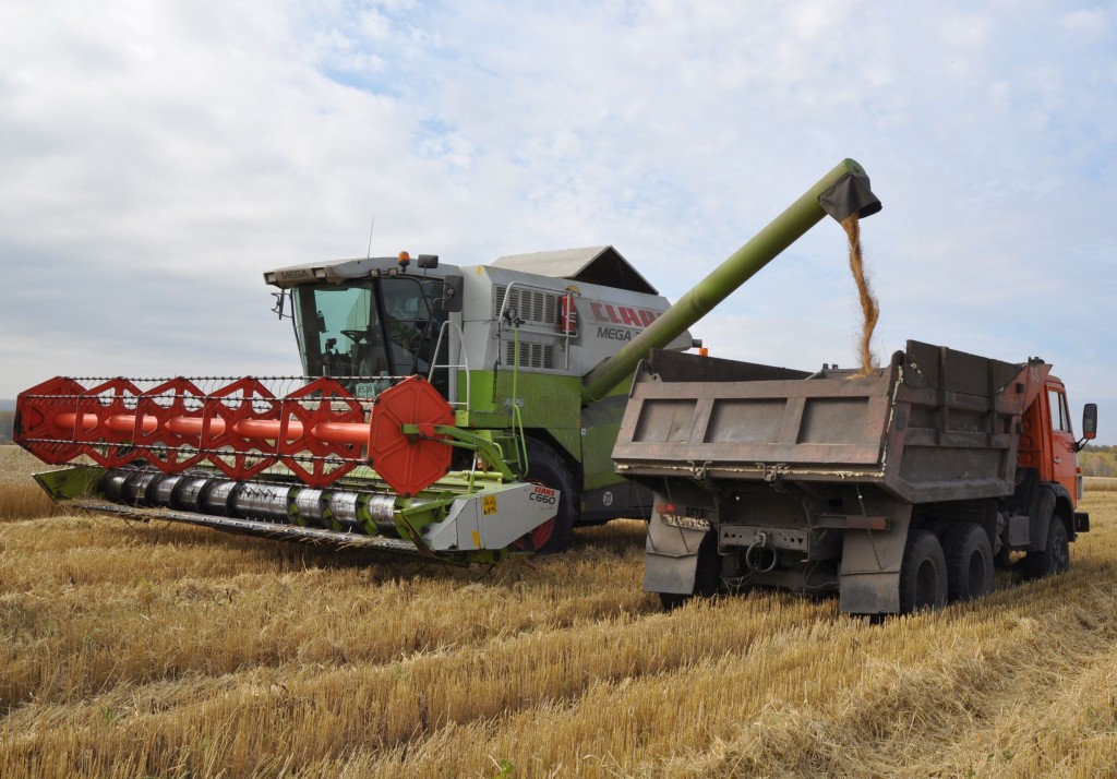 Уборка зерновых культур завершилась в Кемеровской области