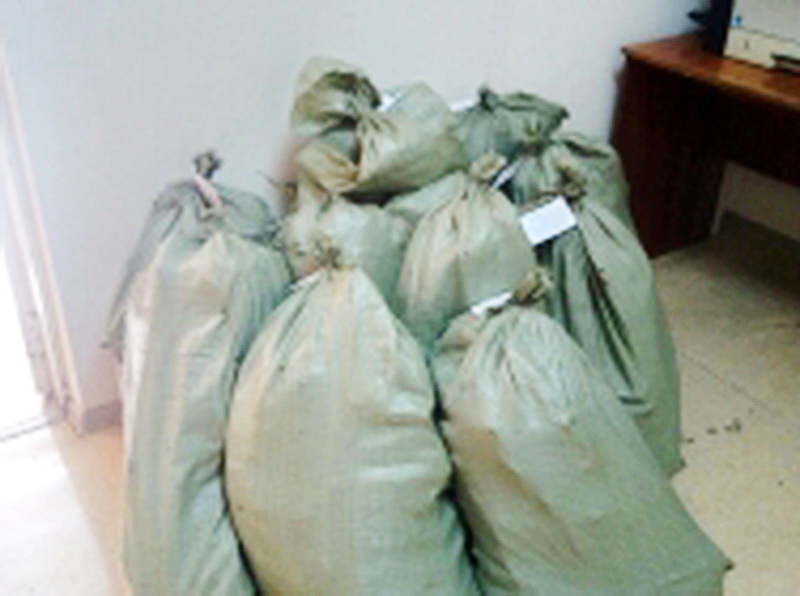 В Кемерово полицейские изъяли у горожанина около 30 килограммов конопли