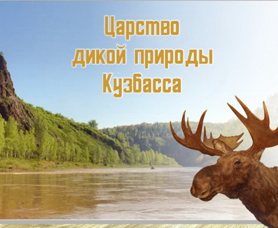 Вышло в свет пособие «Царство дикой природы Кузбасса» для людей с ограничениями по зрению