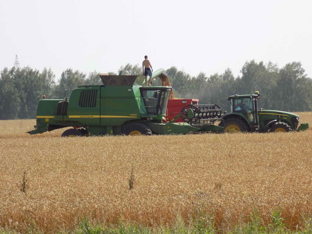 В Кемеровской области началась уборка зерновых