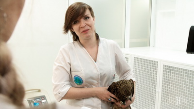«Экодесант» побывал в ветеринарном блоке Центра сохранения биоразнообразия КемГУ
