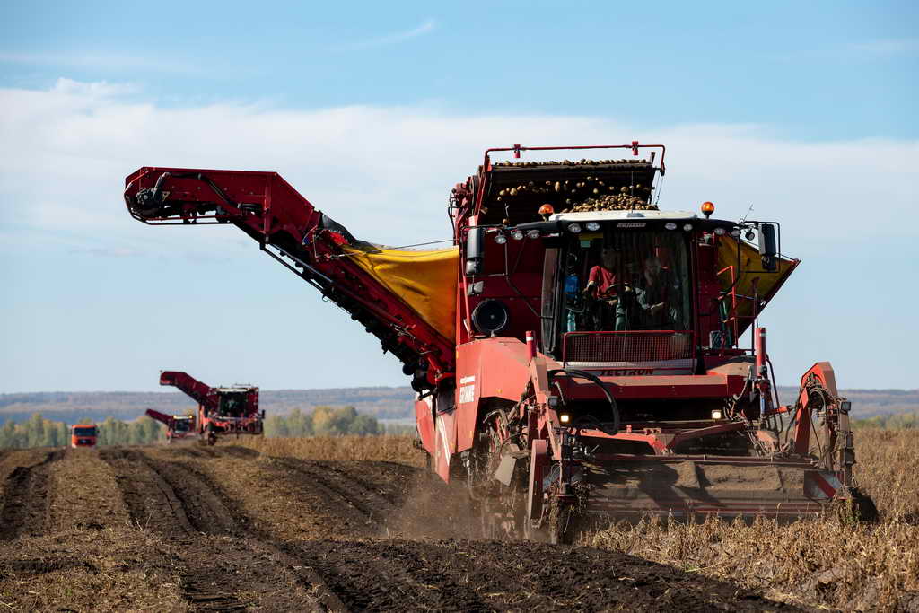 Кузбасс — один из лидеров по темпам уборки урожая в СФО