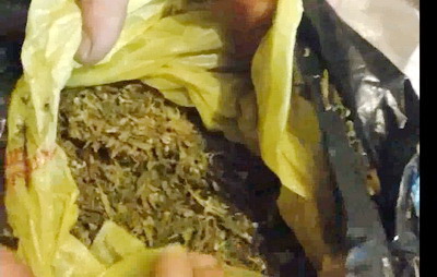 У жителя Мысков изъяли марихуану в крупном размере