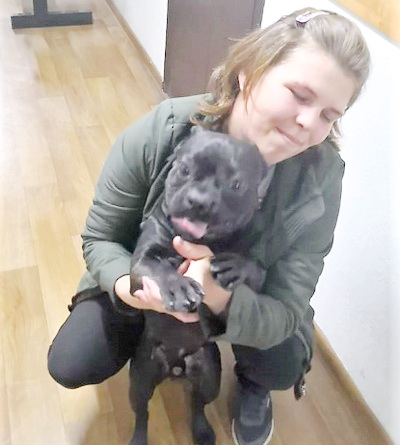 В Ленинске-Кузнецком полицейские вернули жительнице похищенную собаку 