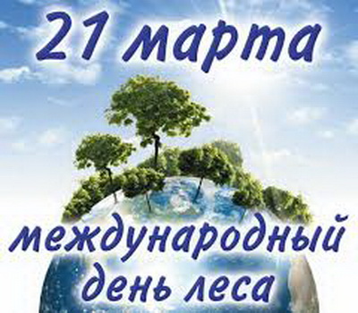В Международный день леса в Кузбассе провели открытые уроки